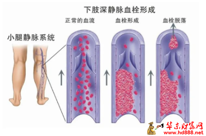 微信图片_20241012202057.png